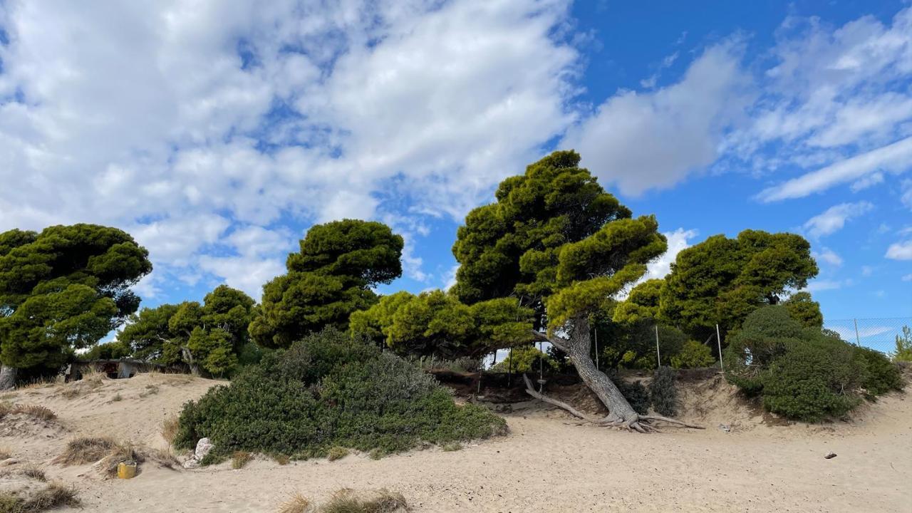 Artemis Apartment,Beach Two-Bedroom エクステリア 写真